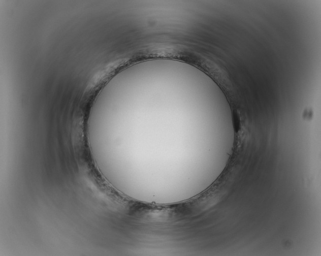 X0000113210306200910011327