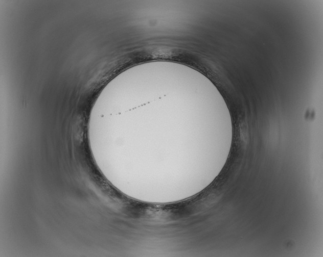 X0000113210311200910011327