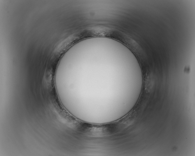 X0000113210314200910011327