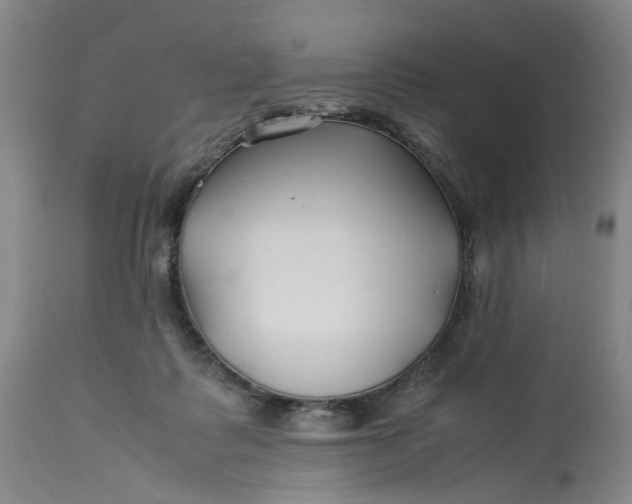 X0000113210315200910011327