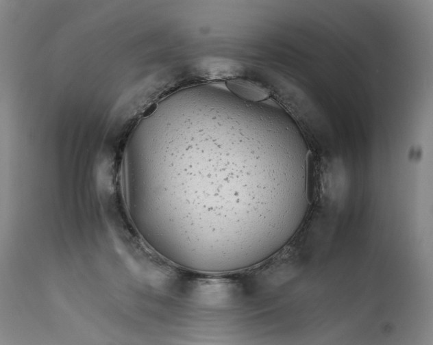 X0000113210316200910011326