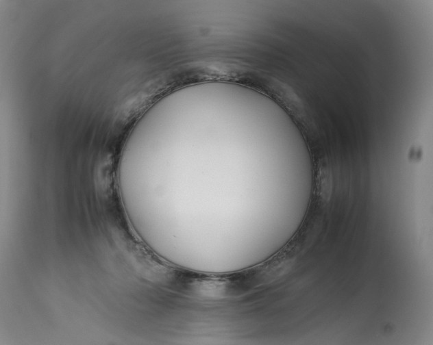 X0000113210318200910011326