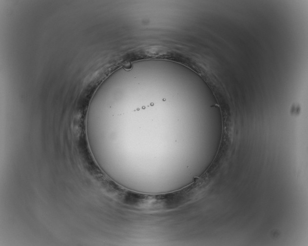 X0000113210319200910011326