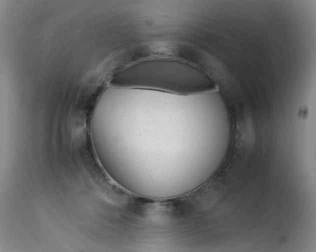 X0000113210320200910011326