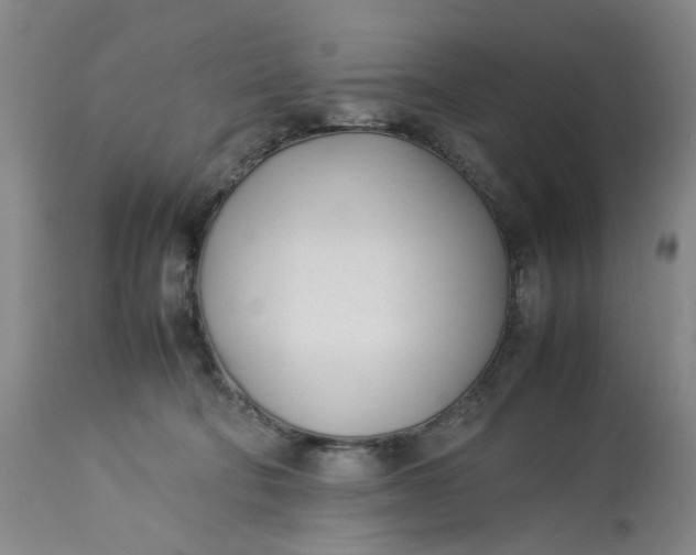 X0000113210322200910011326