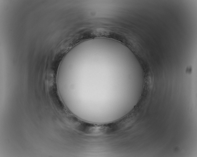 X0000113210323200910011326