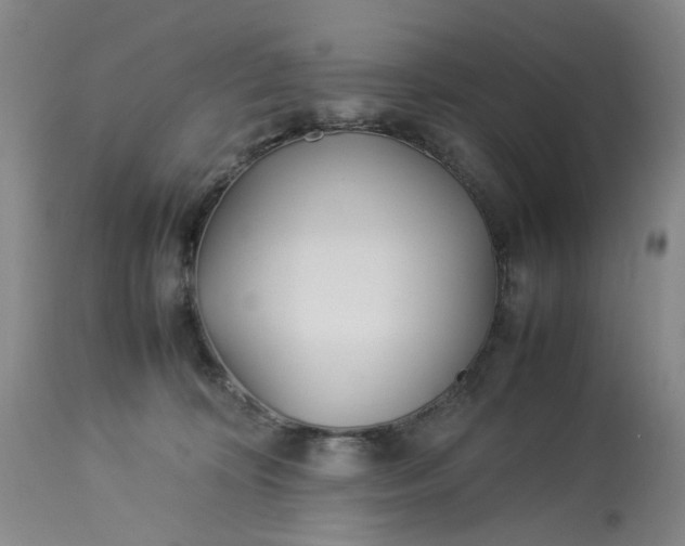 X0000113210324200910011326