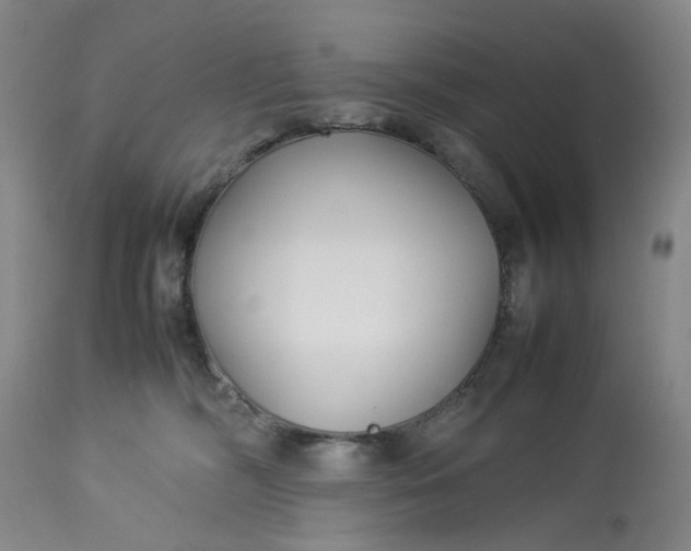 X0000113210326200910011326