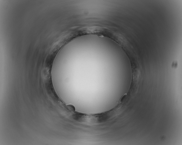 X0000113210327200910011326