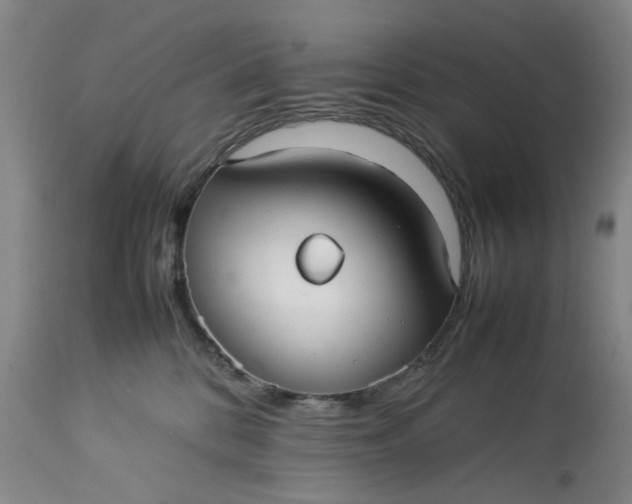 X0000113210328200910011326