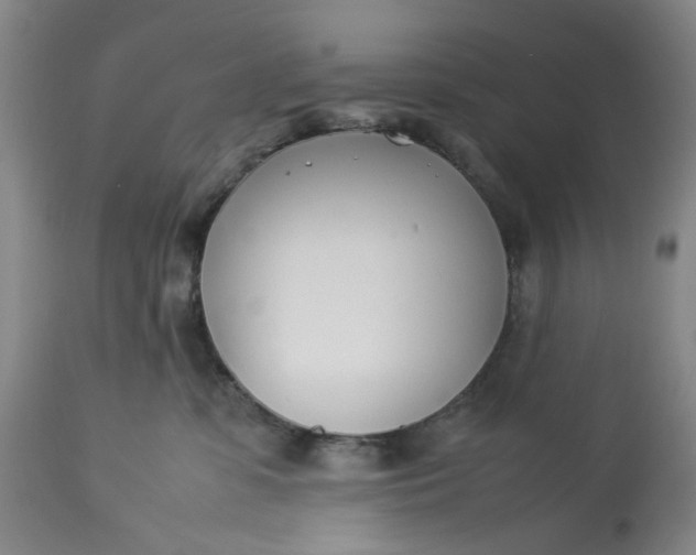 X0000113210331200910011326