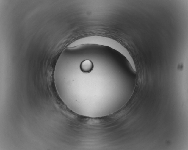 X0000113210332200910011326