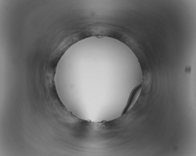 X0000113210333200910011326