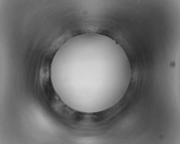 X0000113210334200910011326