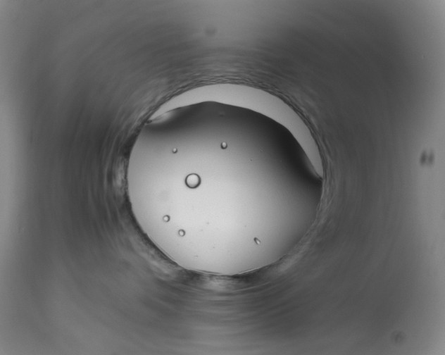 X0000113210336200910011326