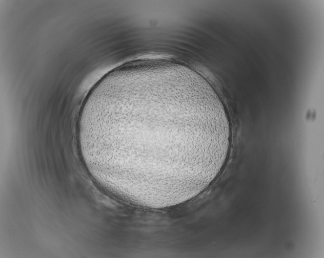 X0000113210337200910011325