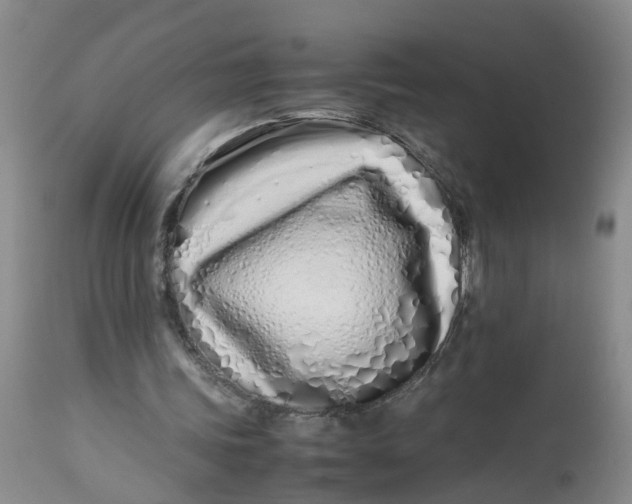 X0000113210339200910011325