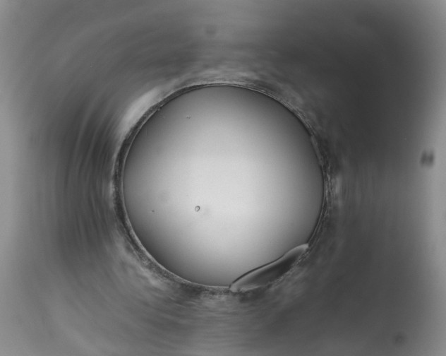 X0000113210340200910011325