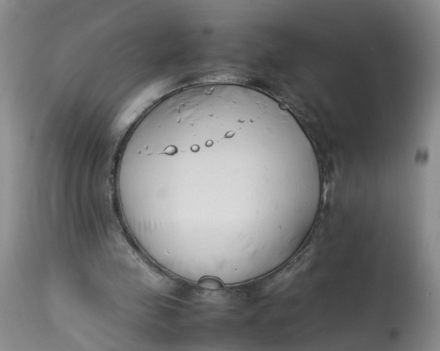 X0000113210341200910011325