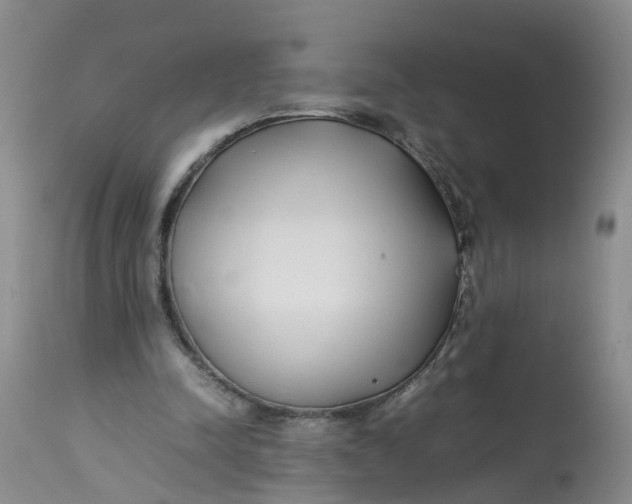 X0000113210342200910011325