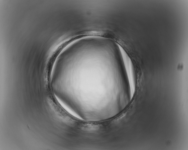 X0000113210343200910011325