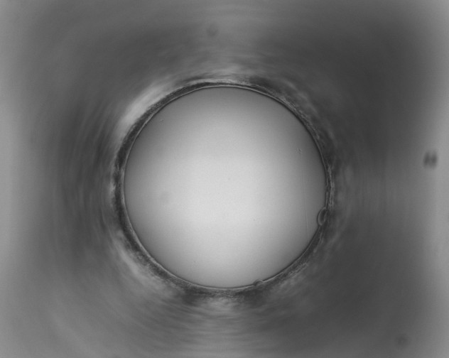 X0000113210344200910011325