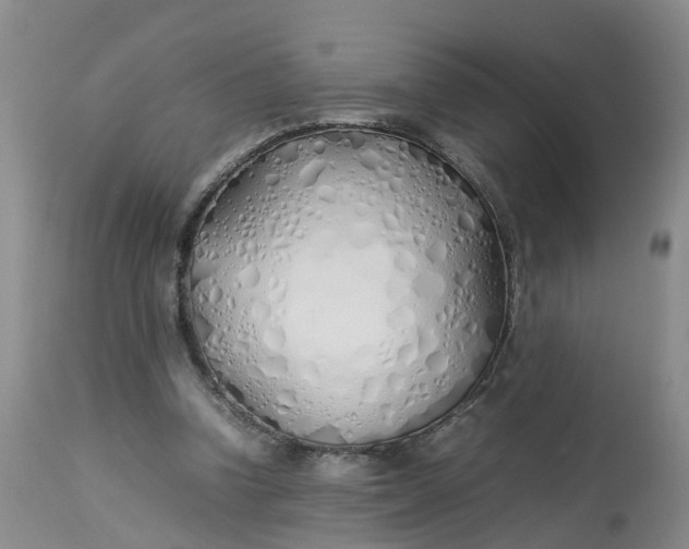 X0000113210346200910011325