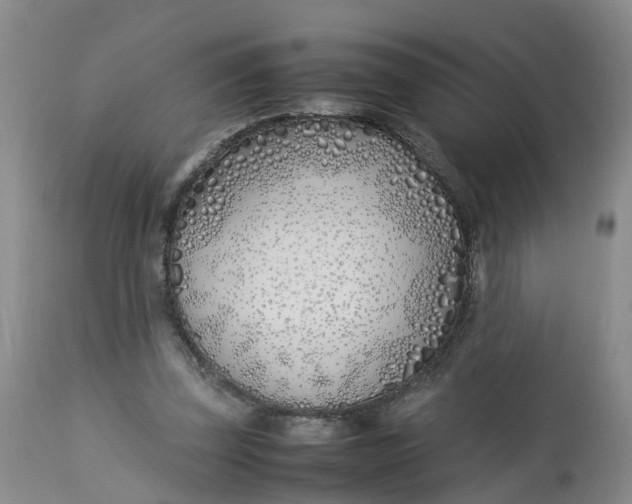 X0000113210347200910011325