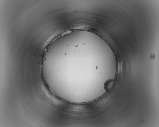 X0000113210349200910011325