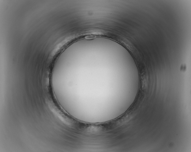 X0000113210350200910011325