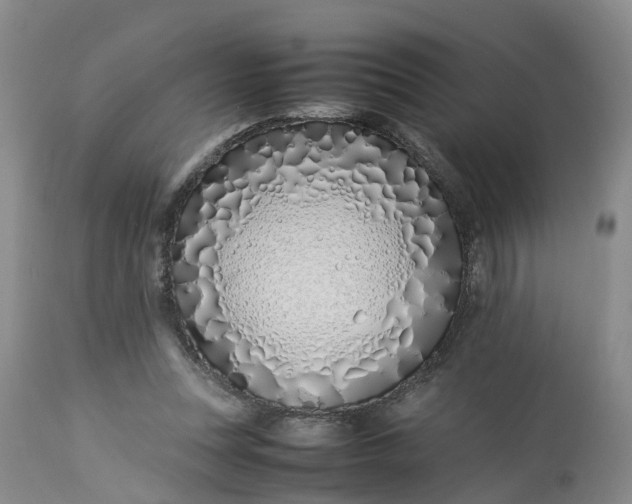 X0000113210351200910011325