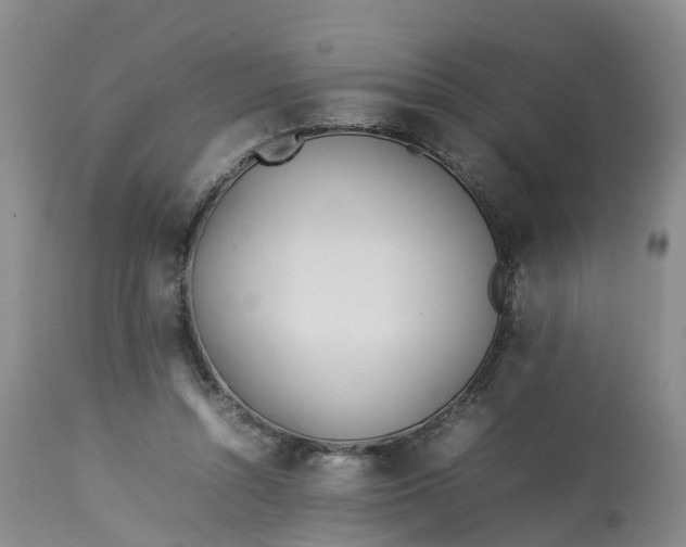 X0000113210352200910011325