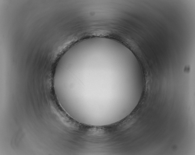 X0000113210354200910011325