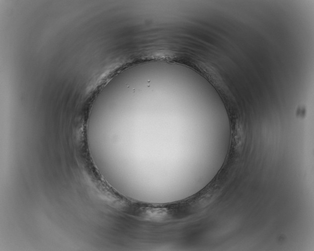 X0000113210355200910011325