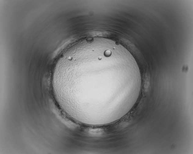 X0000113210357200910011325