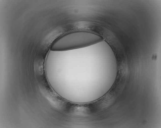 X0000113210360200910011326