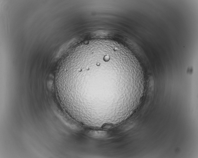 X0000113210361200910011326