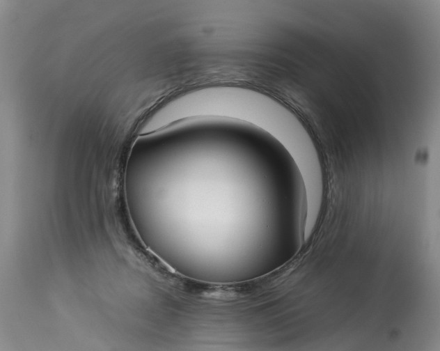 X0000113210362200910011326