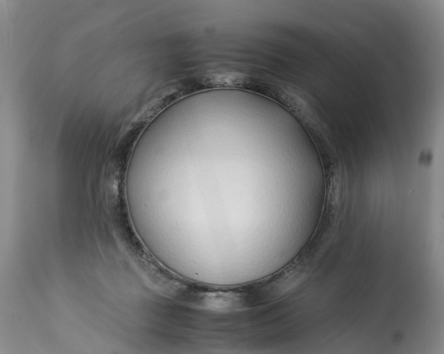 X0000113210363200910011326