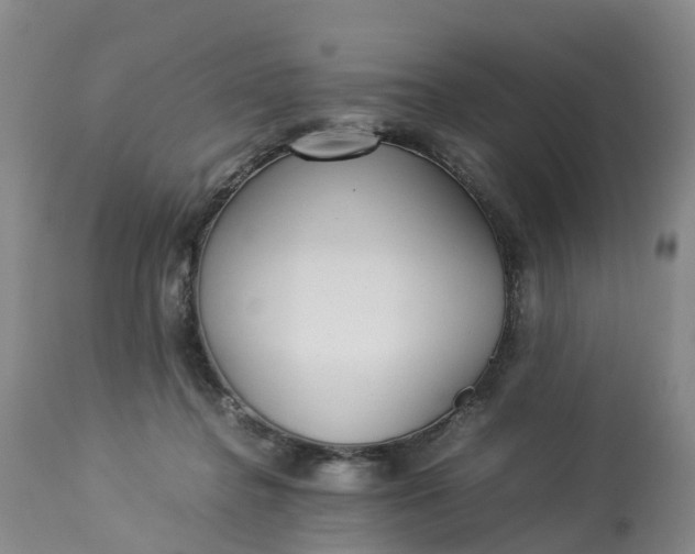 X0000113210364200910011326