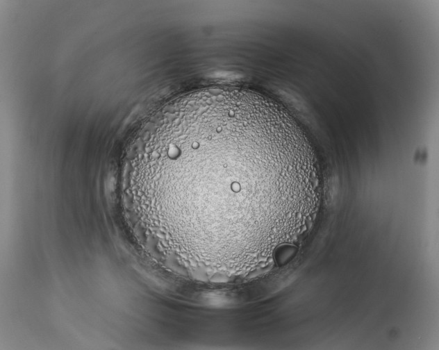 X0000113210365200910011326