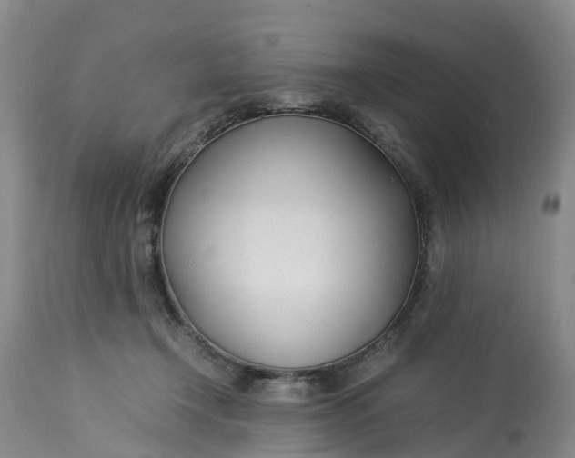 X0000113210366200910011326