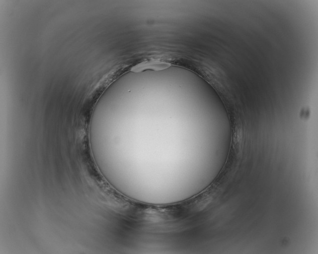 X0000113210367200910011326