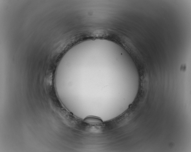 X0000113210368200910011326