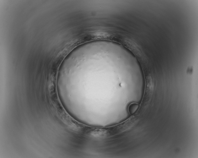 X0000113210369200910011326