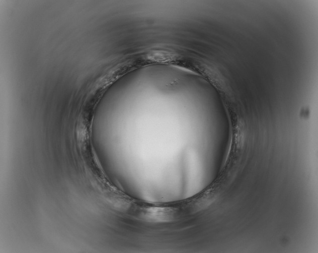 X0000113210371200910011326