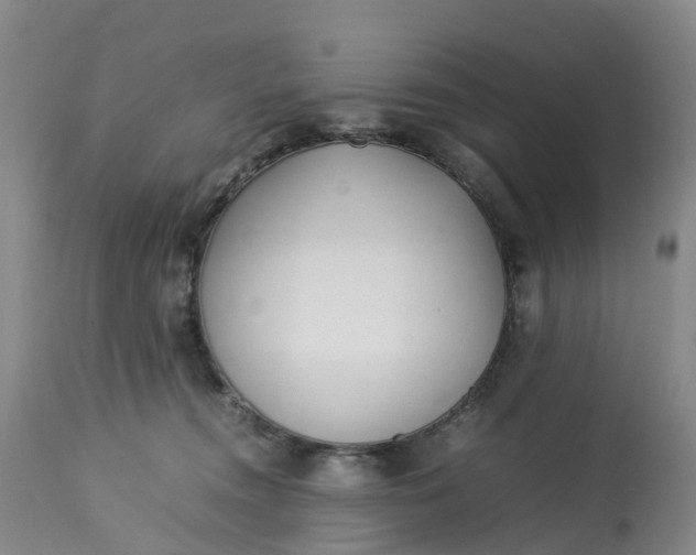 X0000113210372200910011326