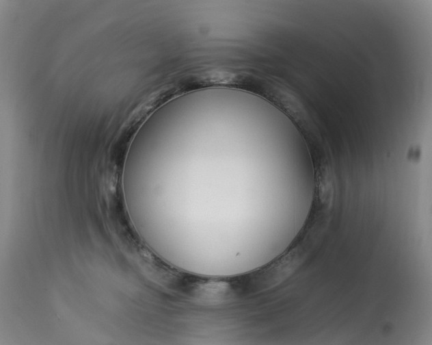 X0000113210374200910011326