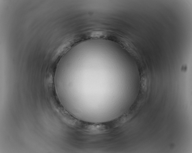 X0000113210375200910011326