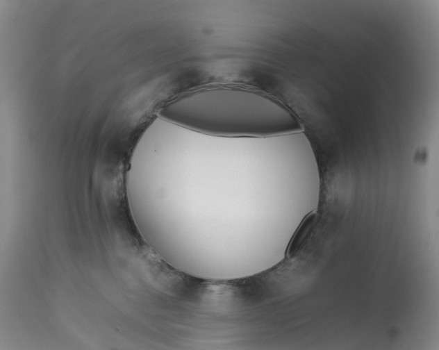 X0000113210376200910011326